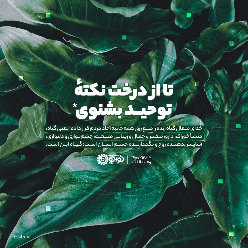 تا از درخت نکته توحید بشنوی*