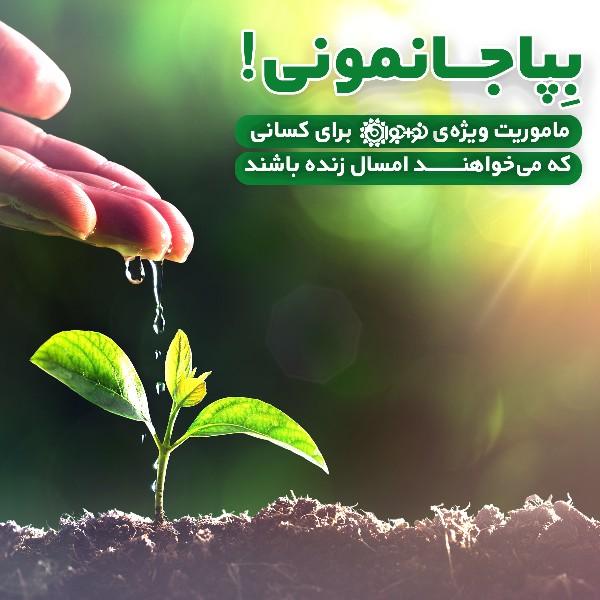 بپا جا نمونی!