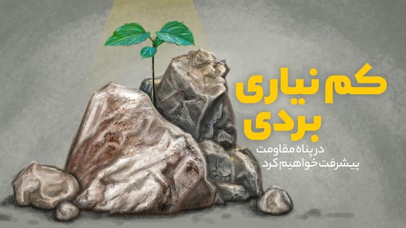 کم نیاری بردی