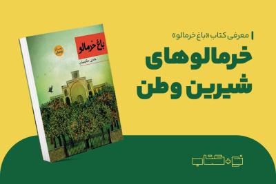 خرمالوهای شیرین وطن