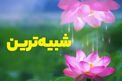 شبیه‌ترین