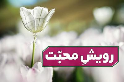 رویش محبت