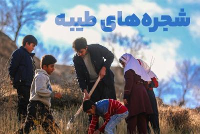 شجره‌های طیبه