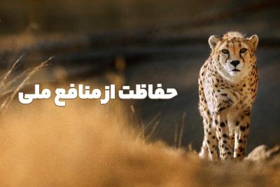 حفاظت از منافع ملی