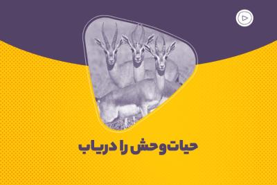 حیات‌وحش را دریاب