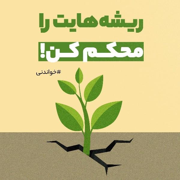 ریشه‌هایت را محکم کن!