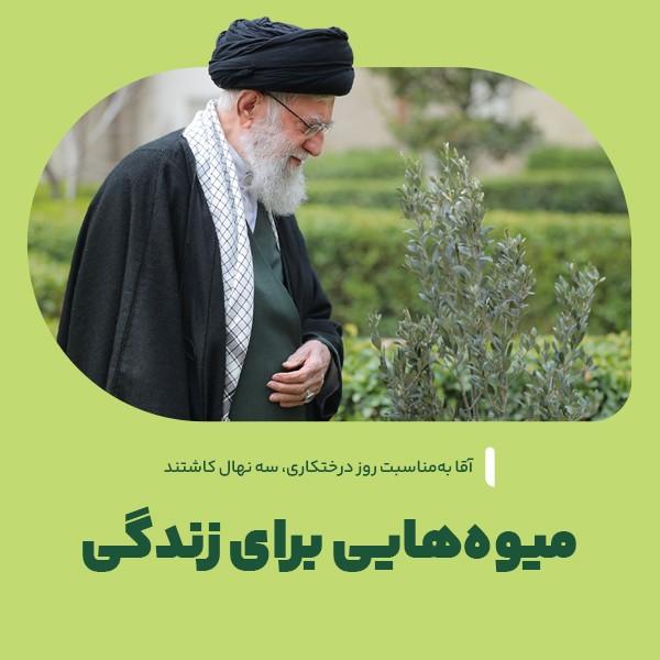 میوه‌هایی برای زندگی