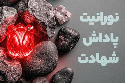 نورانیت پاداش شهدا